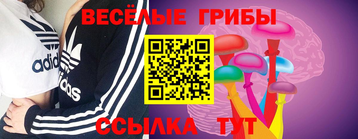 Ессентуки  Псилоцибиновые грибы MAGIC MUSHROOMS  Вход с VPN 